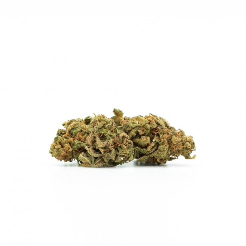 Canalogy HHC flor Shogun 10%, 1g - 1000g