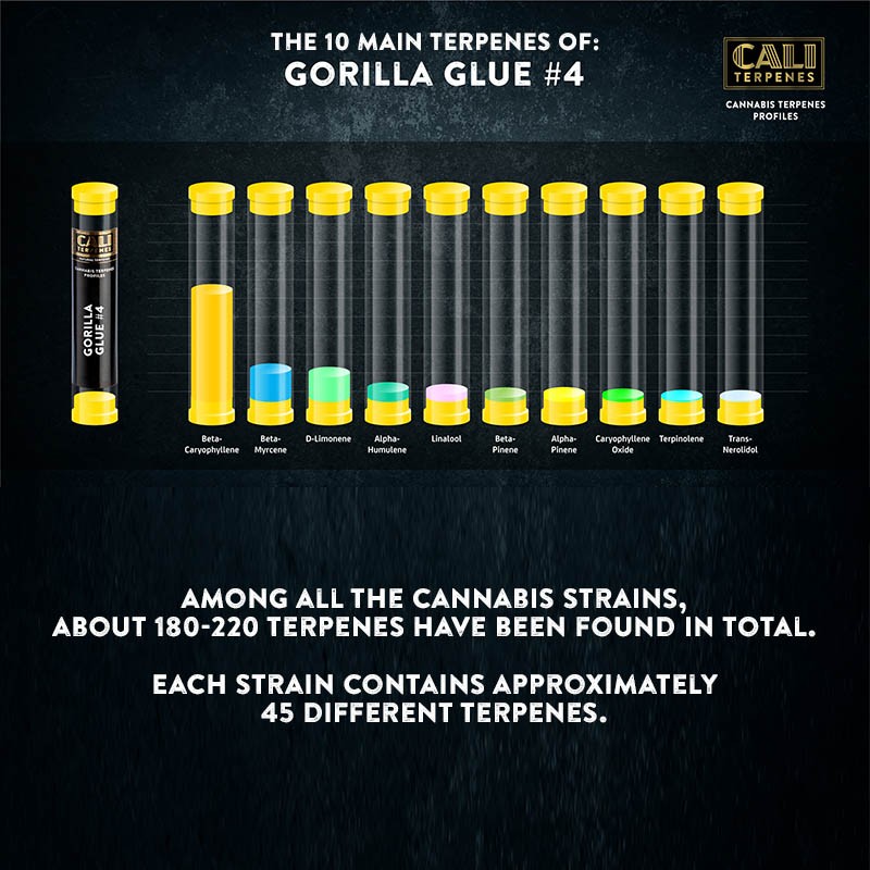 Cali Terpenes - GORILLA LIIM, 1 ml