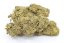 HHC Kvet Amnesia Kush 40%, 100g - 10 000g