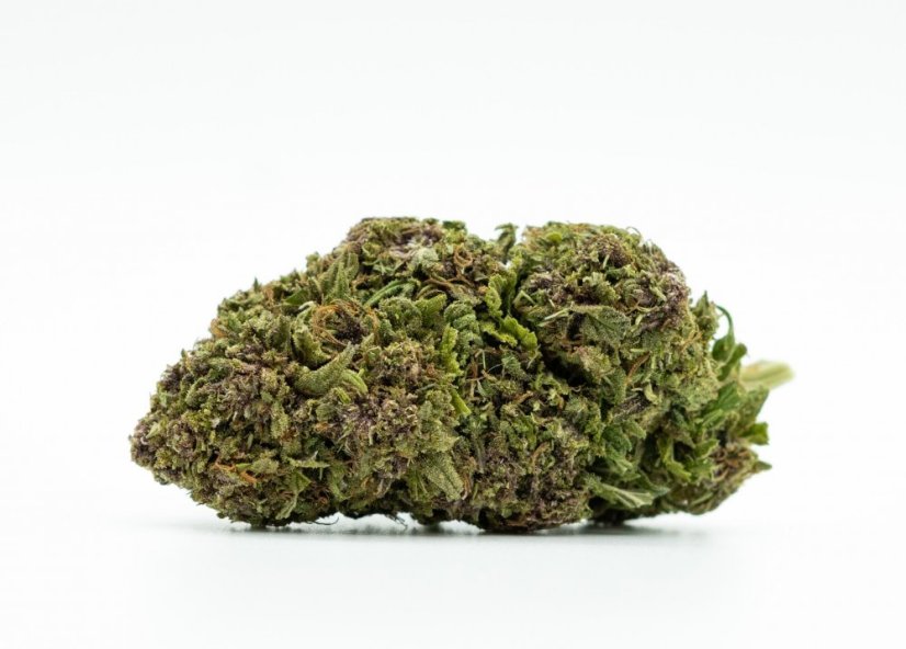 CBD Flower Ultra Pink Liofilizowany 15% CBD, „big buds”, 0,2% THC, 100 g - 10 000 g