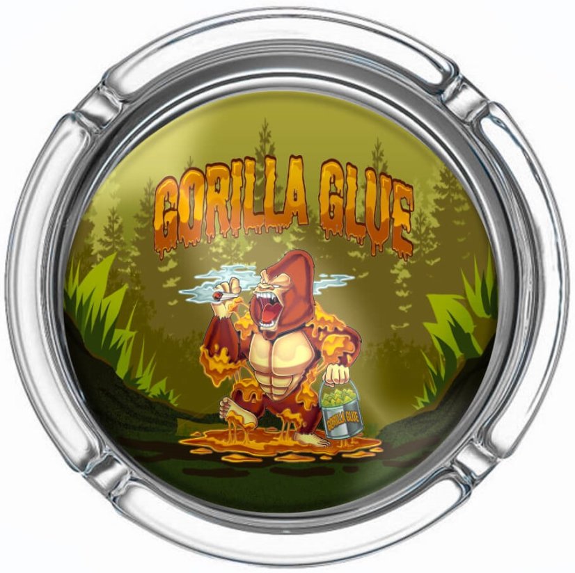 Best Buds Μεγάλα γυάλινα τασάκια Gorilla Glue (6τμχ/οθόνη)