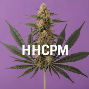 Cannabisplant op paarse achtergrond, tekst: HHCPM