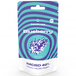 Canntropy H4CBD Flower Blueberry 40 %, 1g - 5g