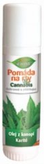 Bione Cannabis Lip Balm, 17 ml - 25 pieces pack