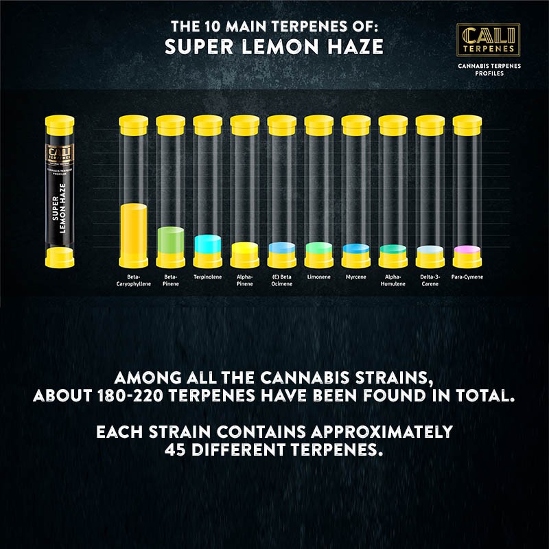 Cali Terpenes - Süper Limon Haze, 1 ml