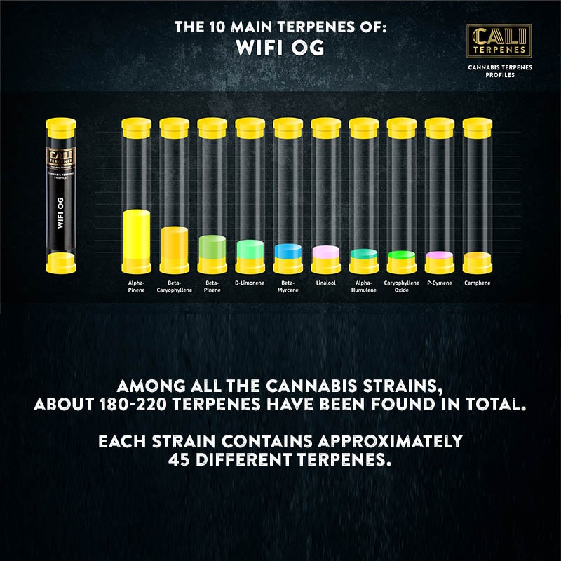 Cali Terpenes - WIFI OG, 1 ml