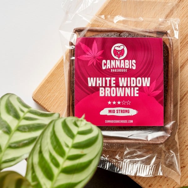 Cannabis Bakehouse janela branca brownies