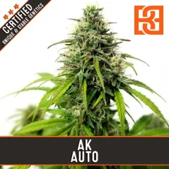 Blimburn Seeds Semillas de cannabis AK Auto