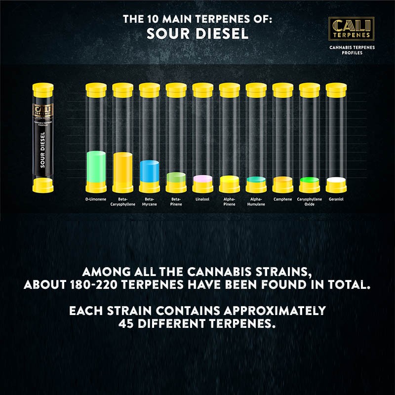 Cali Terpenes - SOUR DIESEL, 1 ml