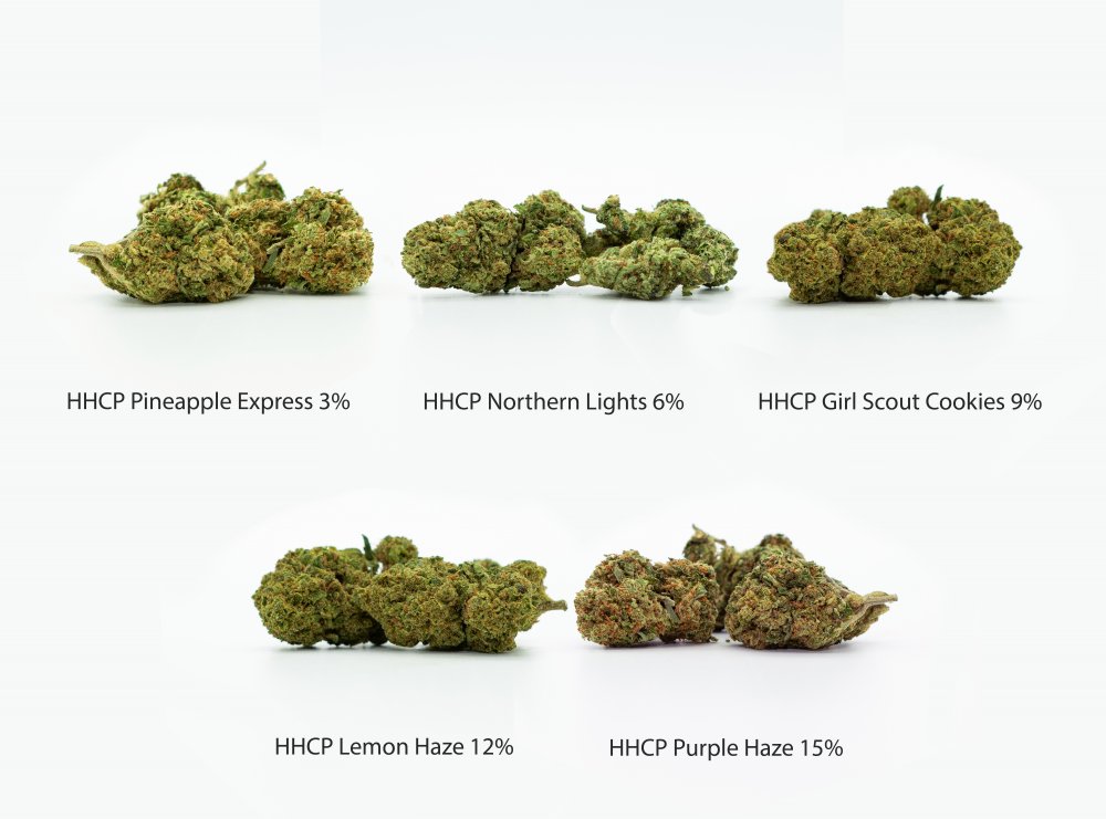 HHCP Flowers sample pack - Pineapple Express 3%, Northern Lights 6%, Girl  Scout Cookies 9%, Lemon Haze 12%, Purple Haze 15%, 5 x 1 g