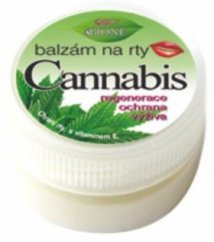 Bione CANNABIS huulirasva UV-suodattimella ja E-vitamiinilla 25 ml