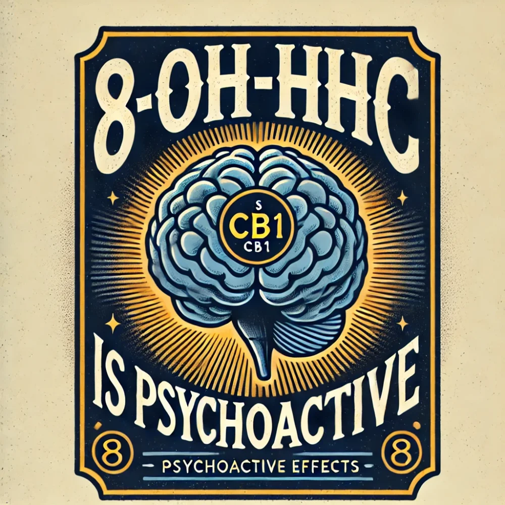 Ilustración, con un cerebro en el centro y CB1 escrito en él, que son receptores en el cerebro, y el texto: 8-OH-HHC tiene efectos psicoactivos