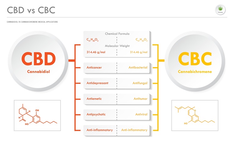 CBD vs CBC, Cannabidiol vs Cannabichromene ჰორიზონტალური ილუსტრაცია კანაფის შესახებ